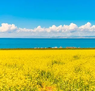 青海湖-中国最大内陆咸水湖-高原蓝宝石