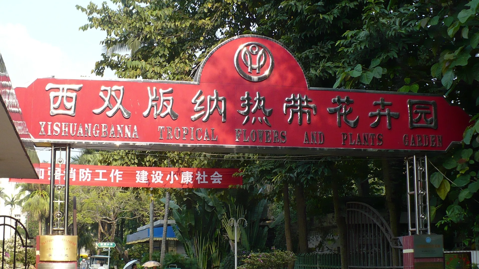 雨林之子·普洱漫游记+丨6日小团｜普洱+孟连+老达保+景迈山+西双版纳，2-8人 - 云南 4