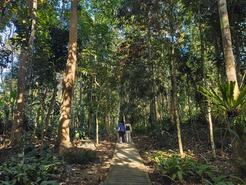 西双版纳中科院热带植物园怎么玩？东西区怎么选、门票电瓶车、半天还是一天 - 景点攻略