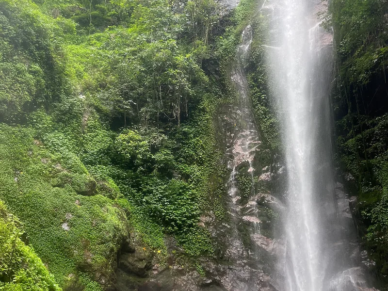 瑞丽莫里热带雨林怎么玩?瀑布徒步要多久、穿什么鞋、雨季能不能去